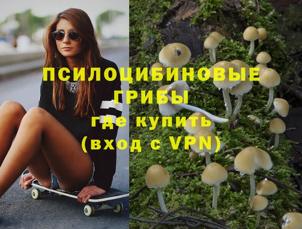 гидропоника Протвино