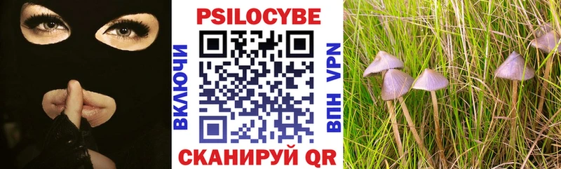 Галлюциногенные грибы Magic Shrooms  Купить где  Инза 